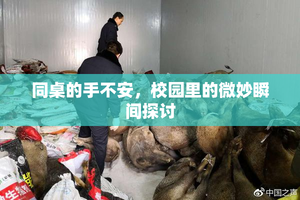 同桌的手不安，校园里的微妙瞬间探讨