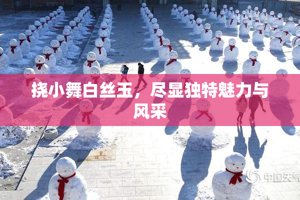 挠小舞白丝玉，尽显独特魅力与风采