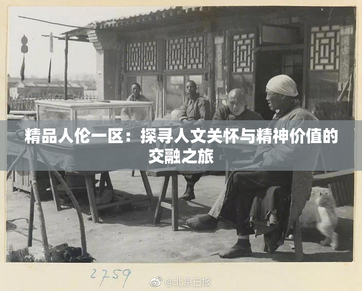精品人伦一区：探寻人文关怀与精神价值的交融之旅