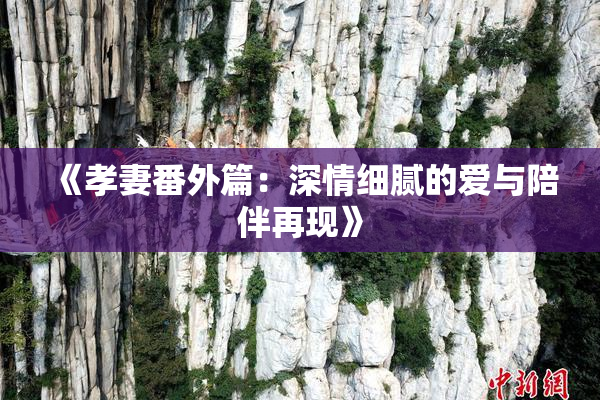 《孝妻番外篇：深情细腻的爱与陪伴再现》