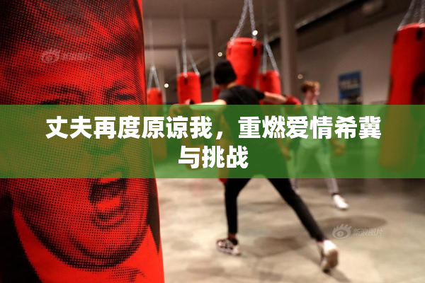 丈夫再度原谅我，重燃爱情希冀与挑战