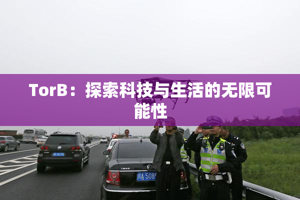 TorB：探索科技与生活的无限可能性