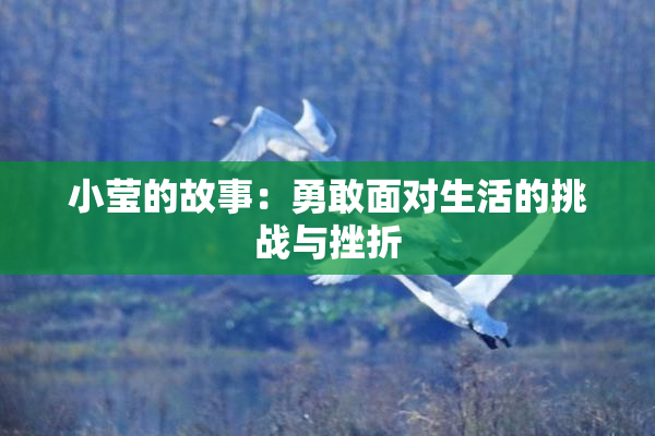 小莹的故事：勇敢面对生活的挑战与挫折