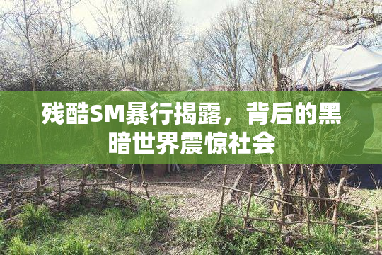 残酷SM暴行揭露，背后的黑暗世界震惊社会