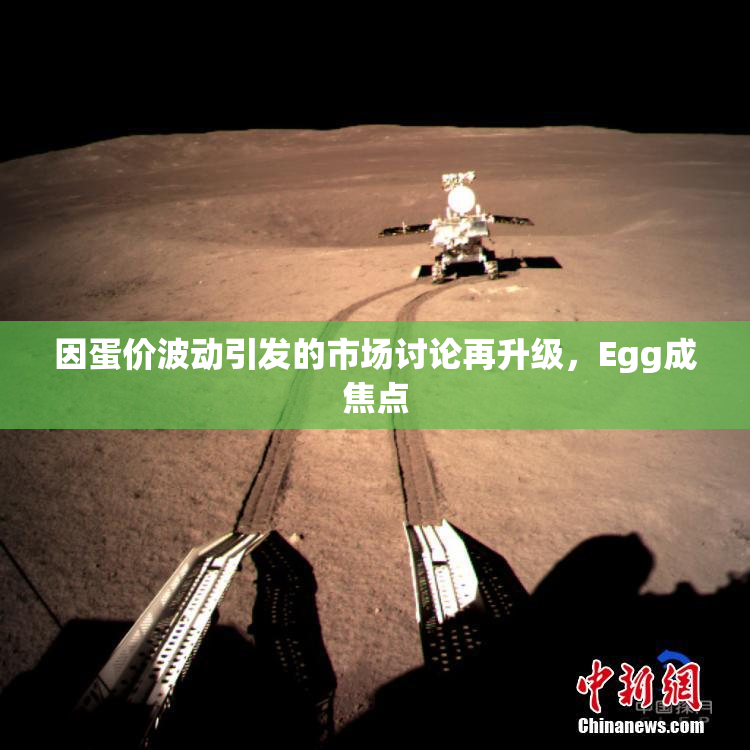 因蛋价波动引发的市场讨论再升级，Egg成焦点
