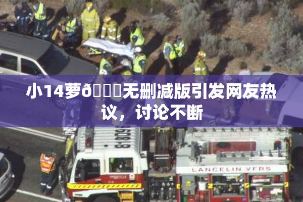 小14萝🔞无删减版引发网友热议，讨论不断
