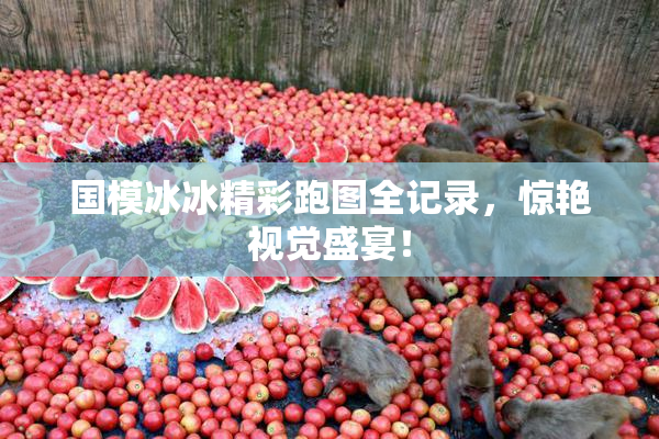 国模冰冰精彩跑图全记录，惊艳视觉盛宴！