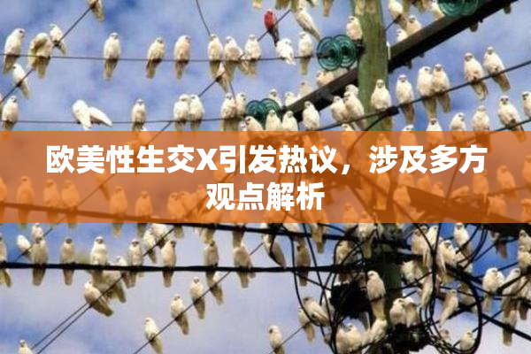 欧美性生交X引发热议，涉及多方观点解析
