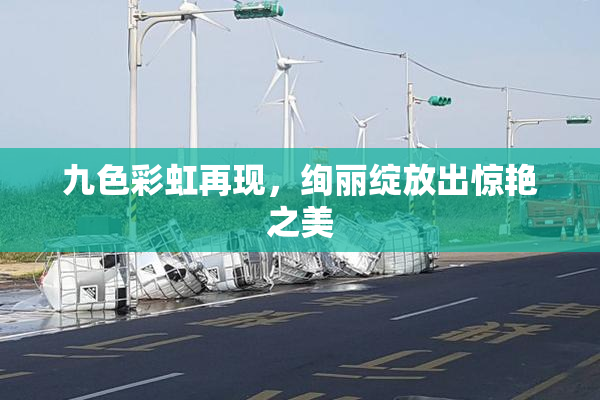 九色彩虹再现，绚丽绽放出惊艳之美