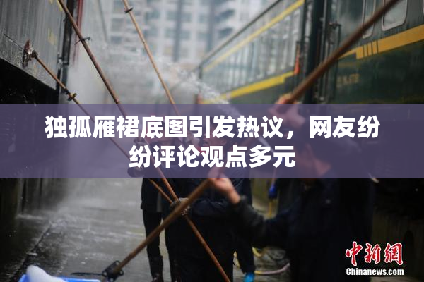 独孤雁裙底图引发热议，网友纷纷评论观点多元