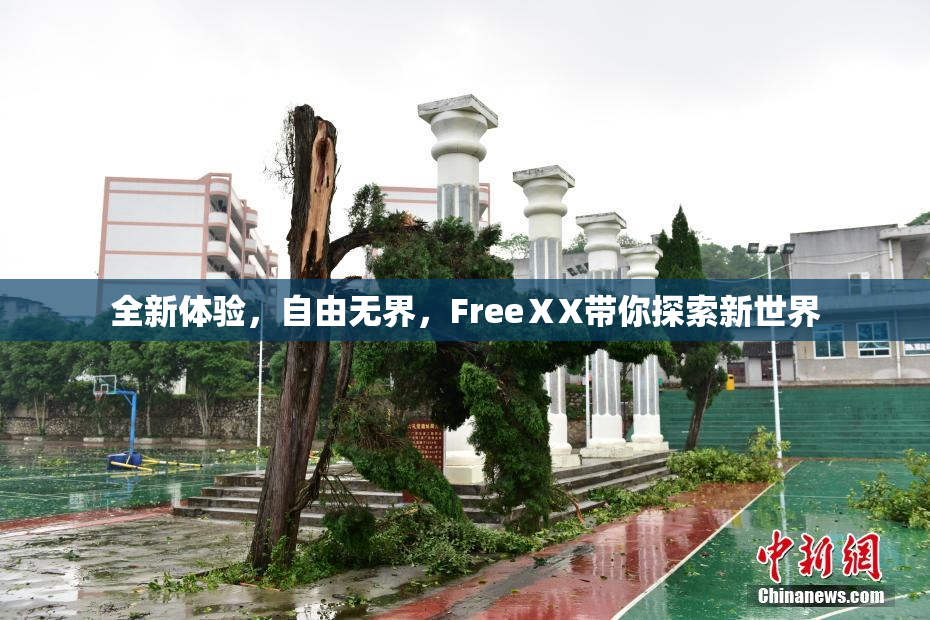 全新体验，自由无界，FreeⅩX带你探索新世界