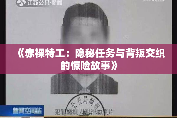 《赤裸特工：隐秘任务与背叛交织的惊险故事》