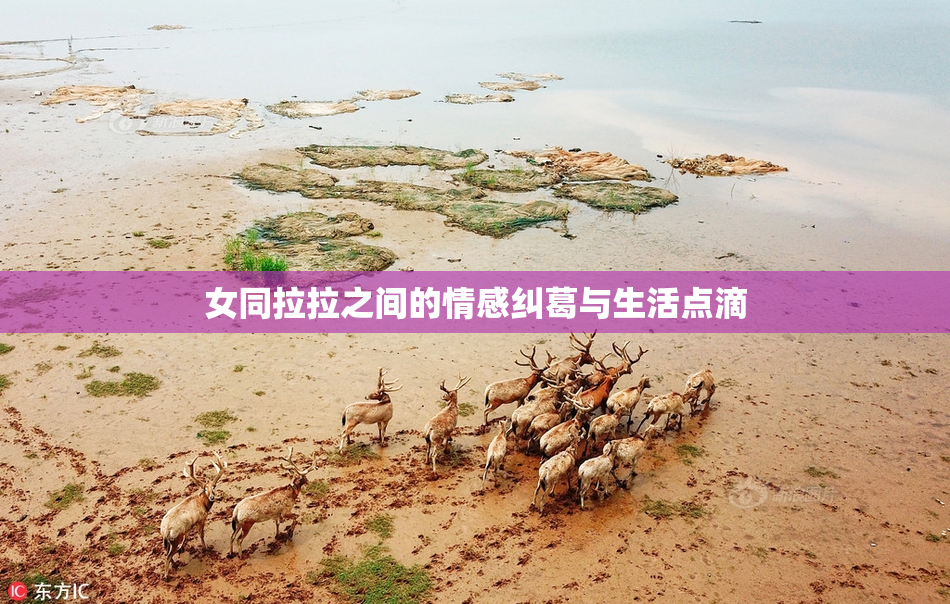 女同拉拉之间的情感纠葛与生活点滴