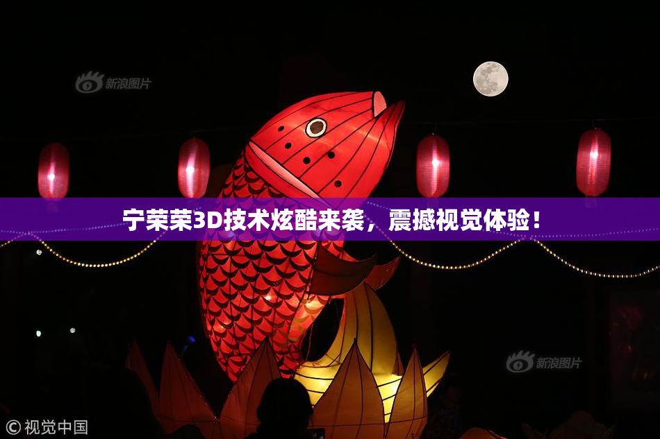 宁荣荣3D技术炫酷来袭，震撼视觉体验！