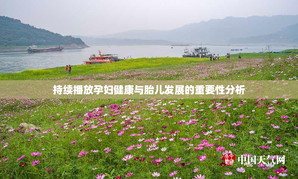 持续播放孕妇健康与胎儿发展的重要性分析