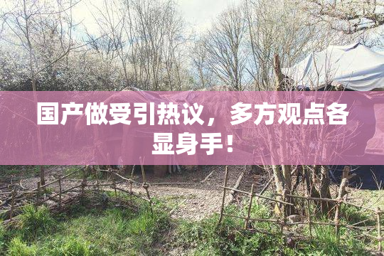 国产做受引热议，多方观点各显身手！