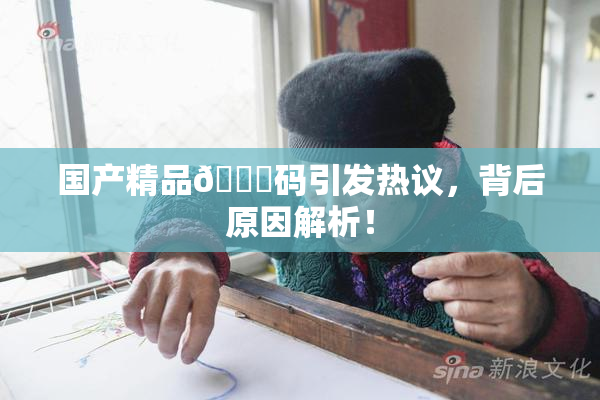 国产精品🈚码引发热议，背后原因解析！