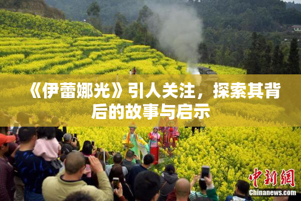《伊蕾娜光》引人关注，探索其背后的故事与启示