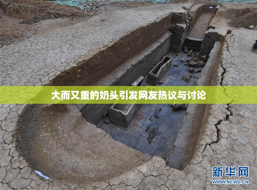 大而又重的奶头引发网友热议与讨论