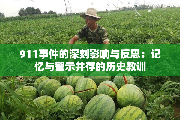 911事件的深刻影响与反思：记忆与警示并存的历史教训