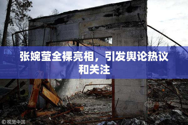 张婉莹全裸亮相，引发舆论热议和关注