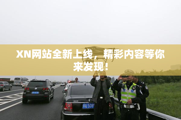 XN网站全新上线，精彩内容等你来发现！