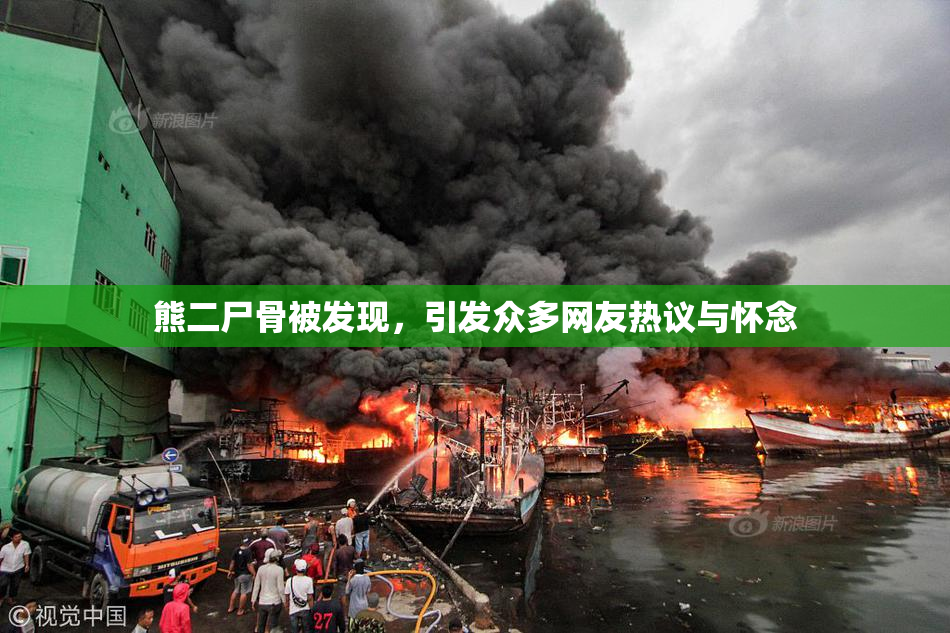 熊二尸骨被发现，引发众多网友热议与怀念