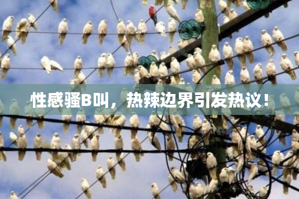 性感骚B叫，热辣边界引发热议！