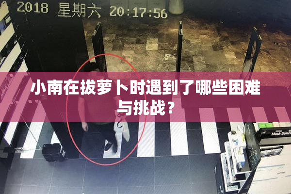 小南在拔萝卜时遇到了哪些困难与挑战？