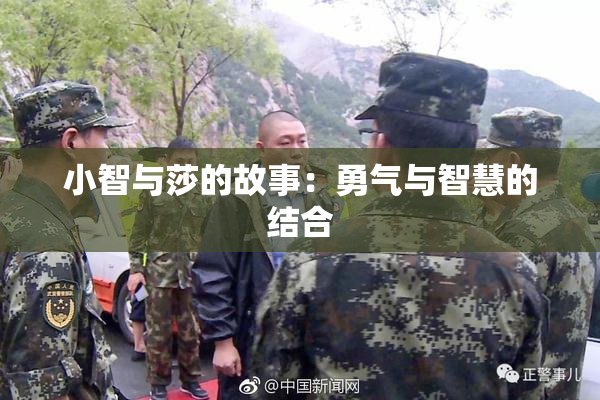 小智与莎的故事：勇气与智慧的结合