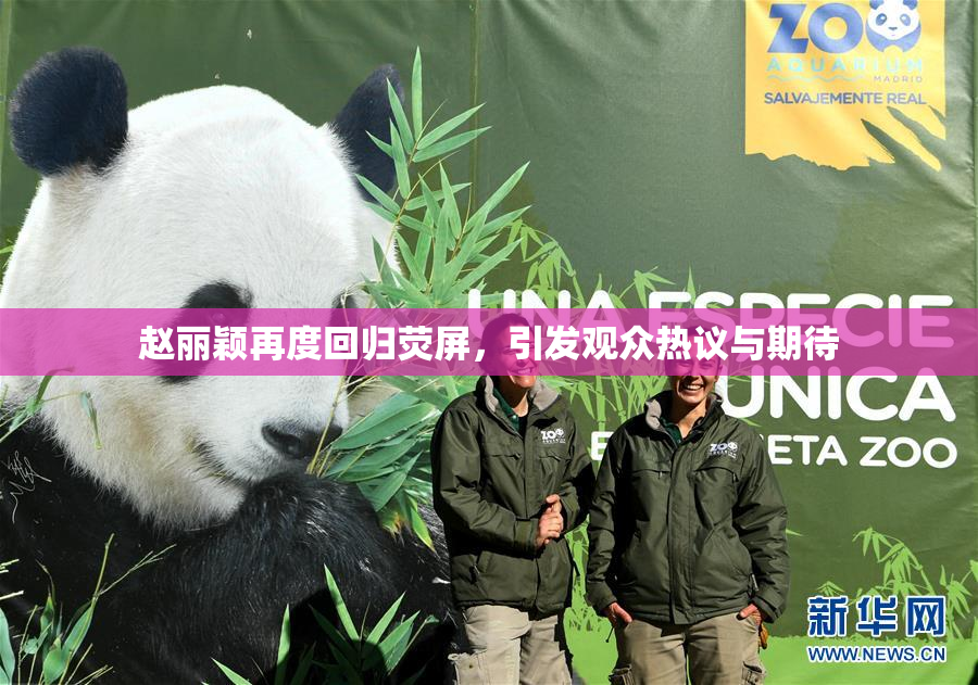 赵丽颖再度回归荧屏，引发观众热议与期待