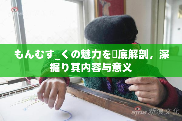もんむす_くの魅力を徹底解剖，深掘り其内容与意义