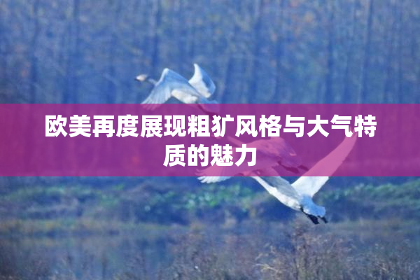 欧美再度展现粗犷风格与大气特质的魅力