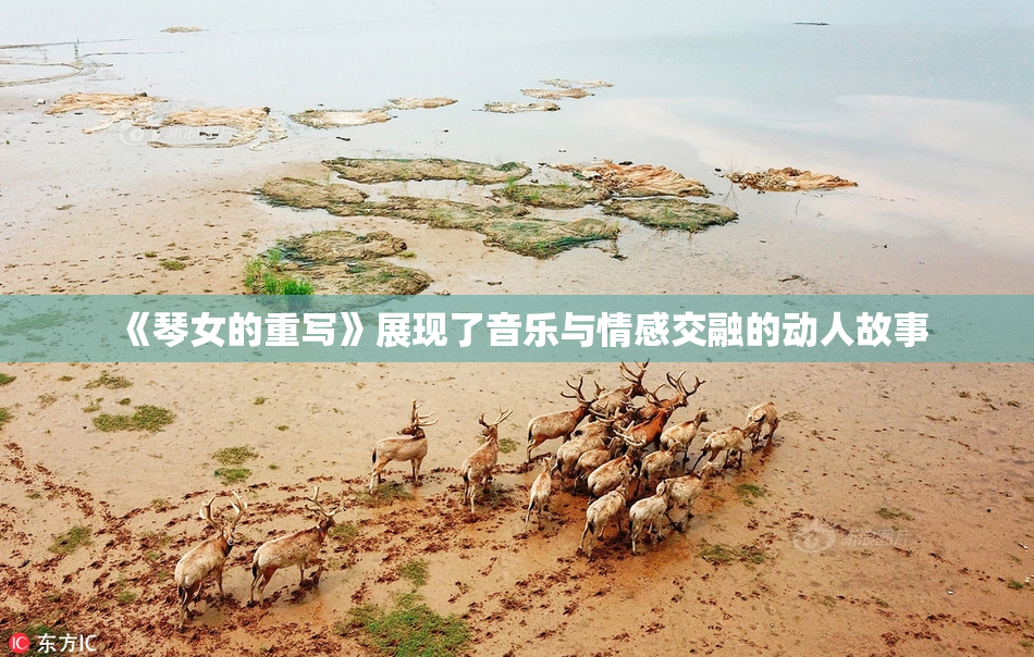 《琴女的重写》展现了音乐与情感交融的动人故事