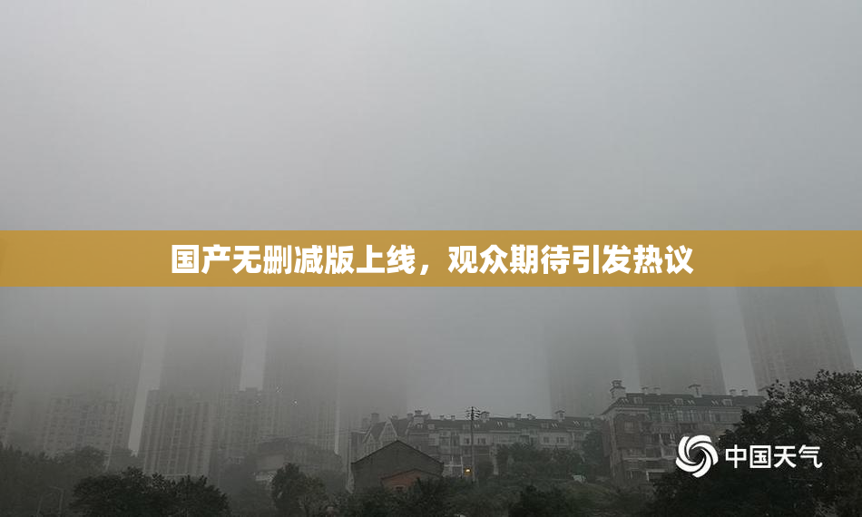 国产无删减版上线，观众期待引发热议