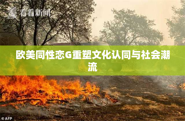 欧美同性恋G重塑文化认同与社会潮流