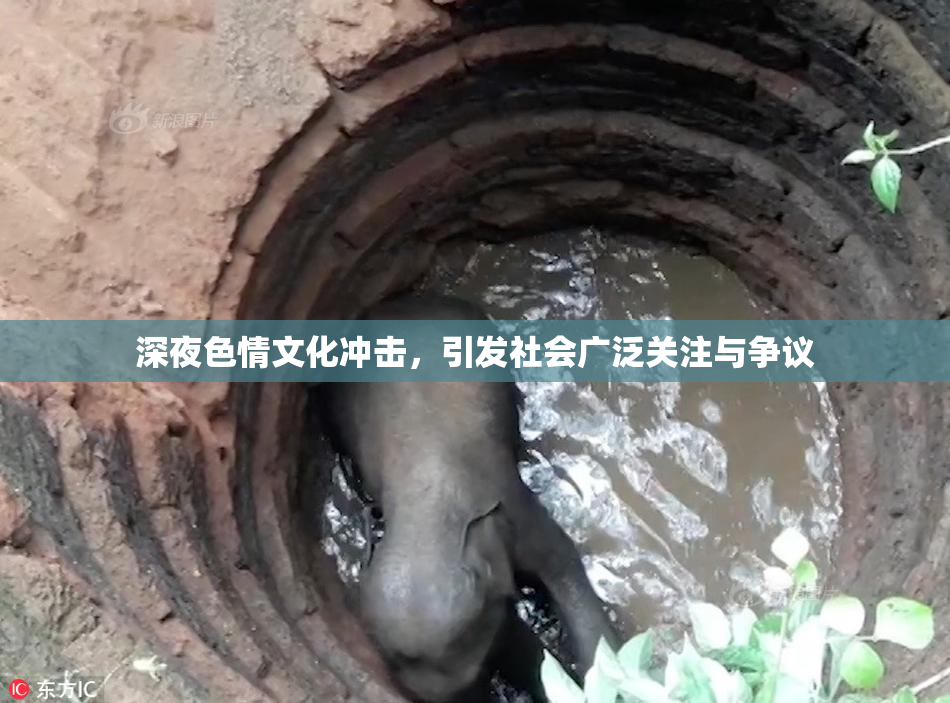 深夜色情文化冲击，引发社会广泛关注与争议