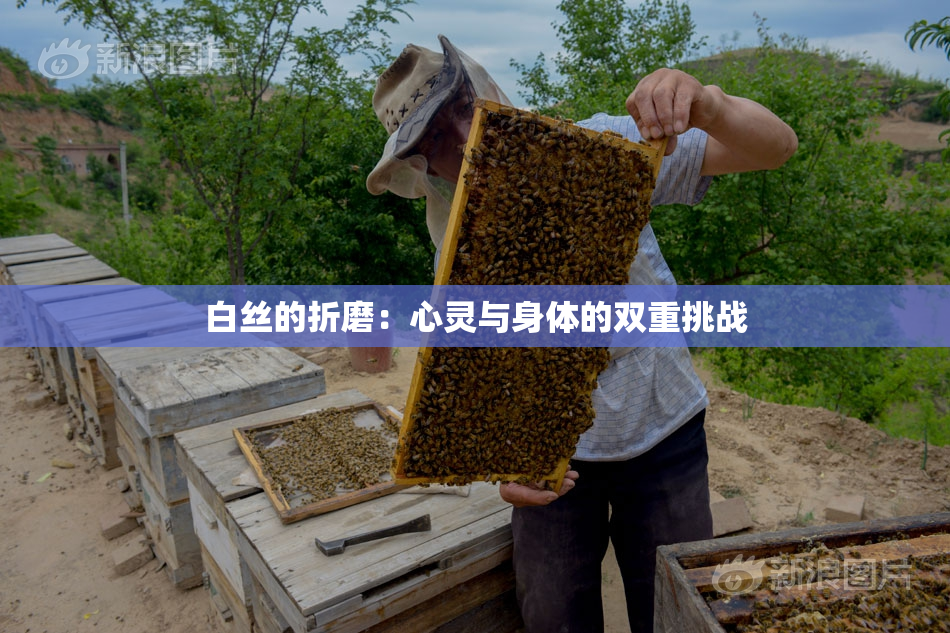 白丝的折磨：心灵与身体的双重挑战