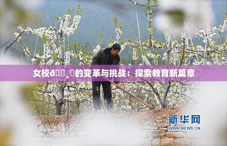 女校🌸‌的变革与挑战：探索教育新篇章