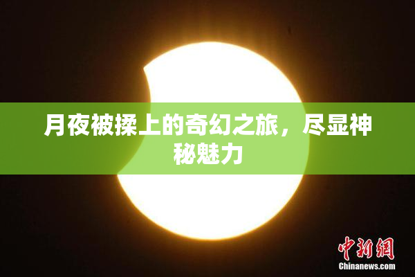 月夜被揉上的奇幻之旅，尽显神秘魅力