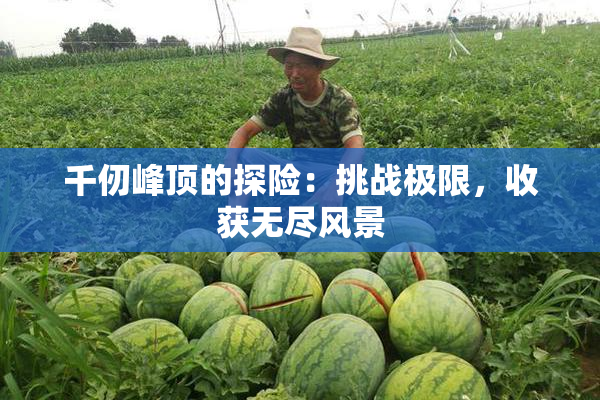 千仞峰顶的探险：挑战极限，收获无尽风景