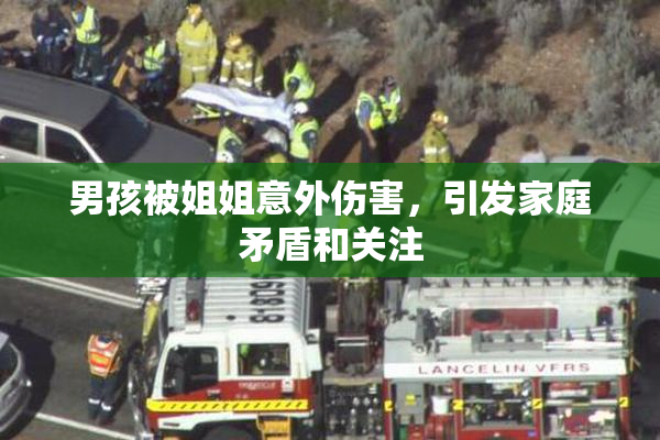 男孩被姐姐意外伤害，引发家庭矛盾和关注
