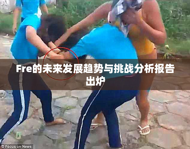 Fre的未来发展趋势与挑战分析报告出炉