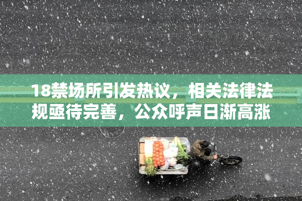 18禁场所引发热议，相关法律法规亟待完善，公众呼声日渐高涨。
