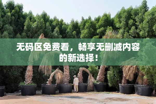 无码区免费看，畅享无删减内容的新选择！