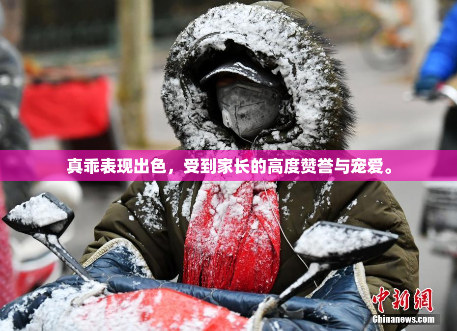 真乖表现出色，受到家长的高度赞誉与宠爱。
