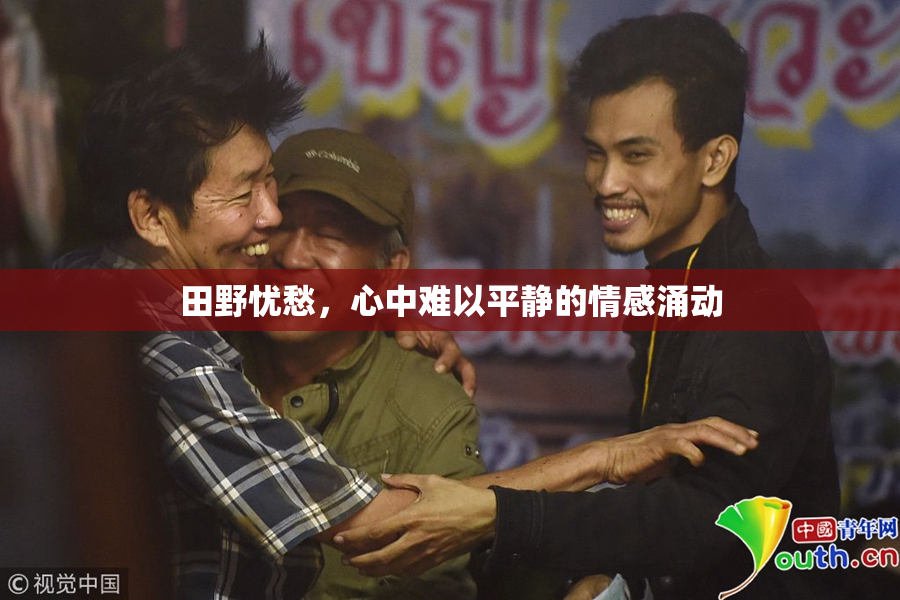 田野忧愁，心中难以平静的情感涌动