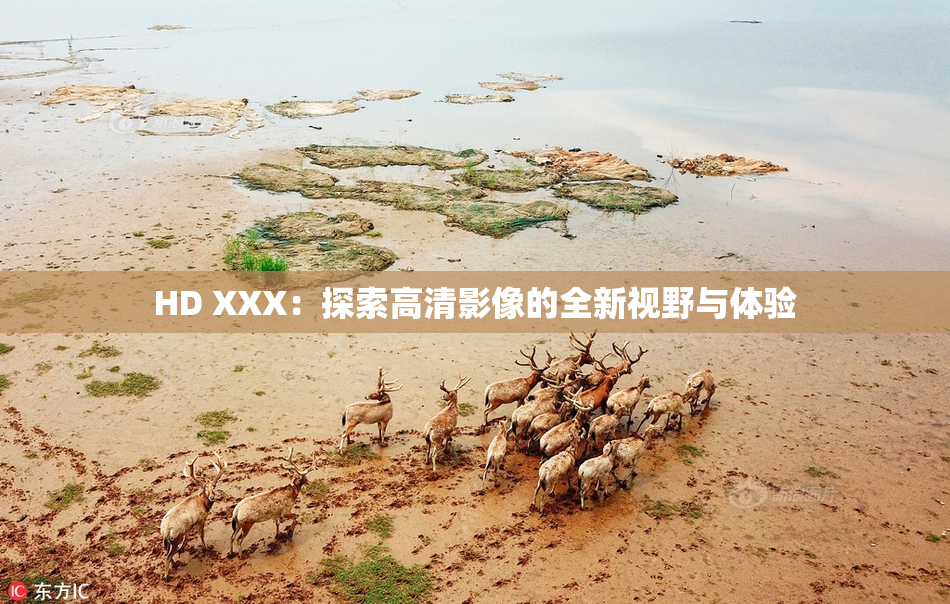 HD XXX：探索高清影像的全新视野与体验