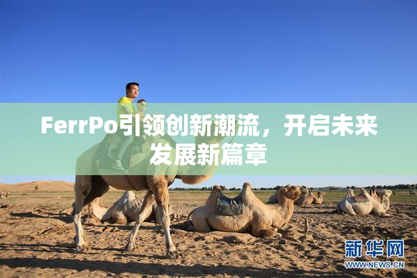 FerrPo引领创新潮流，开启未来发展新篇章