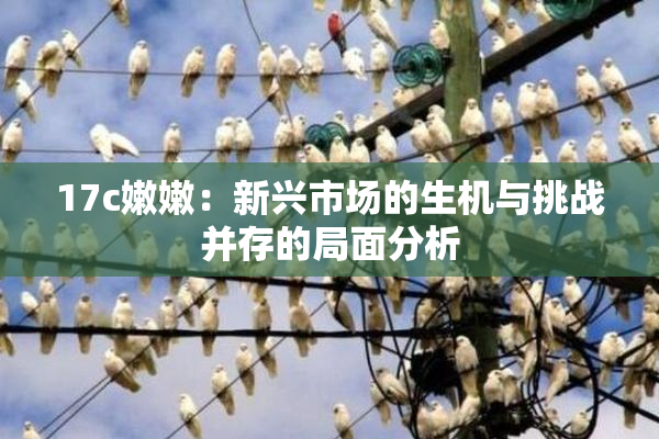 17c嫩嫩：新兴市场的生机与挑战并存的局面分析